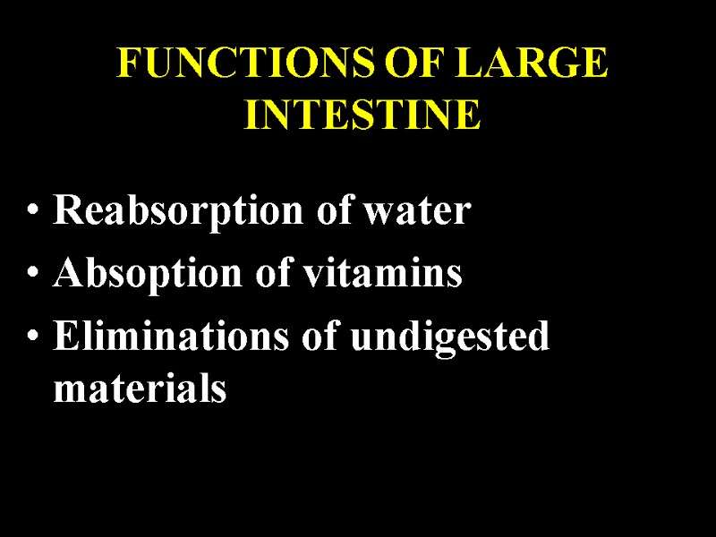 FUNCTIONS OF LARGE INTESTINE Reabsorption of water Absoption of vitamins Eliminations of undigested materials